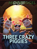 Three Crazy Piggies